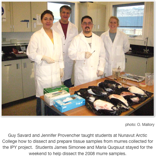 ￼
photo: O. Mallory

Guy Savard and Jennifer Provencher taught students at Nunavut Arctic College how to dissect and prepare tissue samples from murres collected for the IPY project.  Students James Simonee and Maria Quqsuut stayed for the weekend to help dissect the 2008 murre samples.
