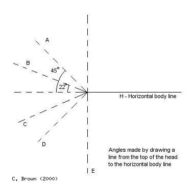 Angles from head to horizontal body line